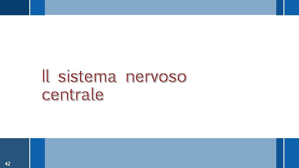Il sistema nervoso centrale 42 
