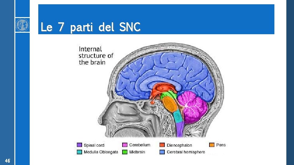 Le 7 parti del SNC 46 