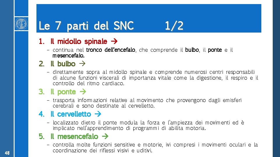 Le 7 parti del SNC 1/2 1. Il midollo spinale – continua nel tronco