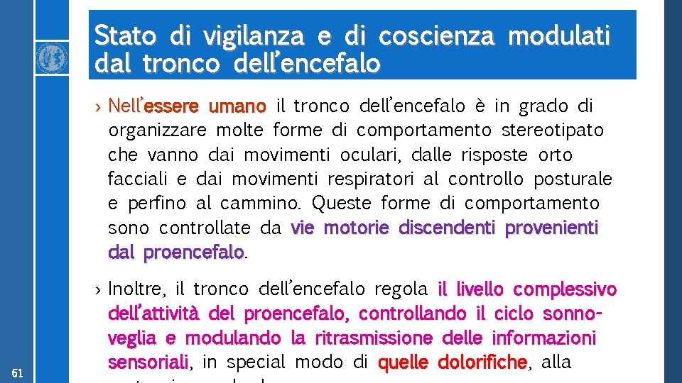 Stato di vigilanza e di coscienza modulati dal tronco dell’encefalo › Nell’essere umano il