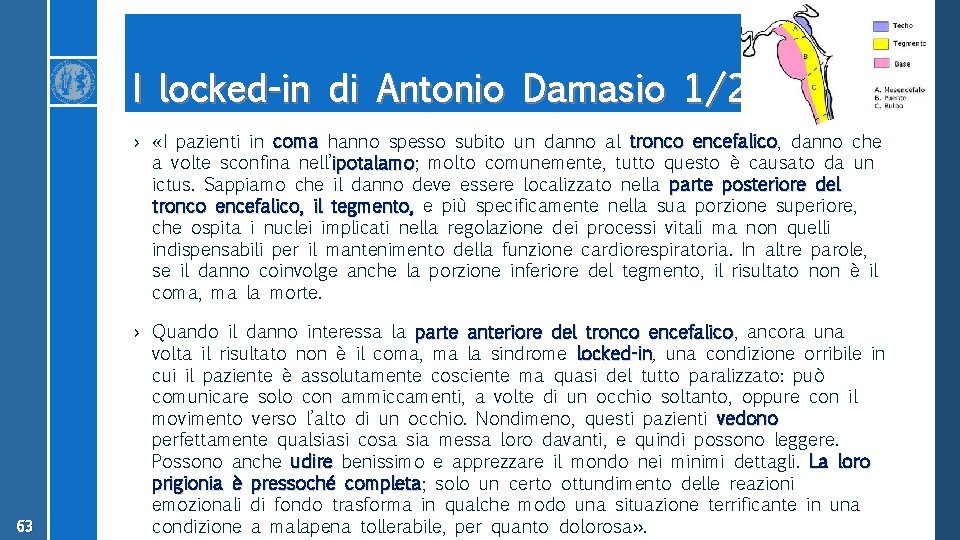 I locked-in di Antonio Damasio 1/2 › «I pazienti in coma hanno spesso subito