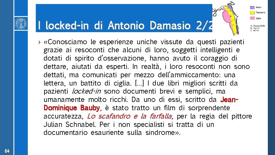 I locked-in di Antonio Damasio 2/2 › «Conosciamo le esperienze uniche vissute da questi