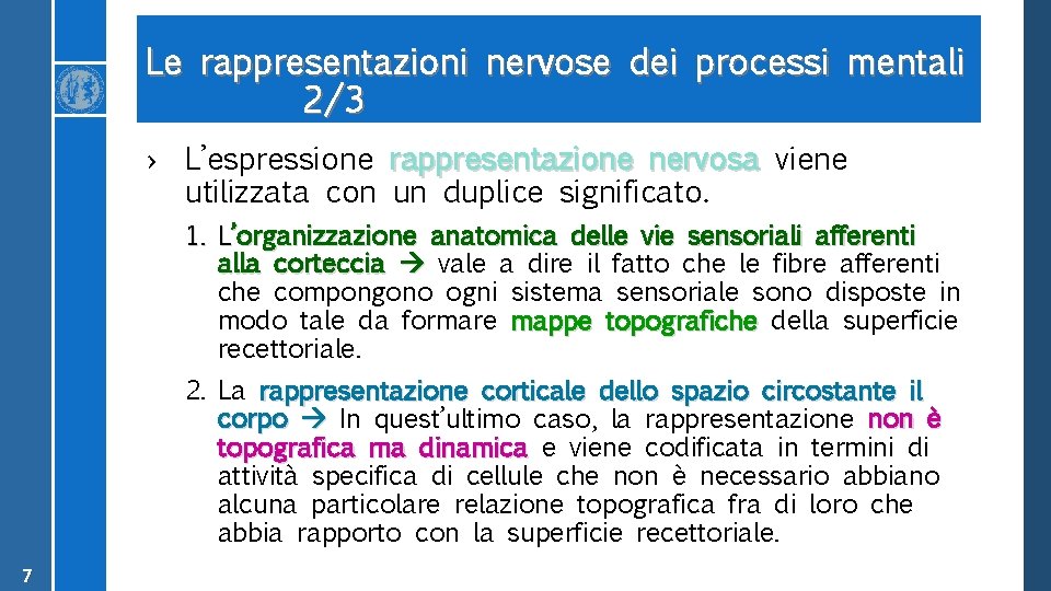 Le rappresentazioni nervose dei processi mentali 2/3 › L’espressione rappresentazione nervosa viene utilizzata con
