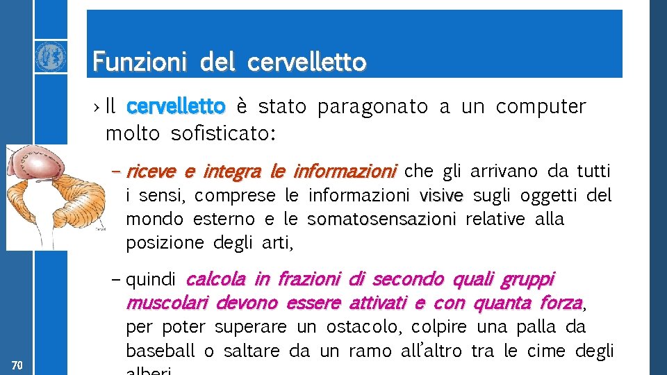 Funzioni del cervelletto › Il cervelletto è stato paragonato a un computer molto sofisticato: