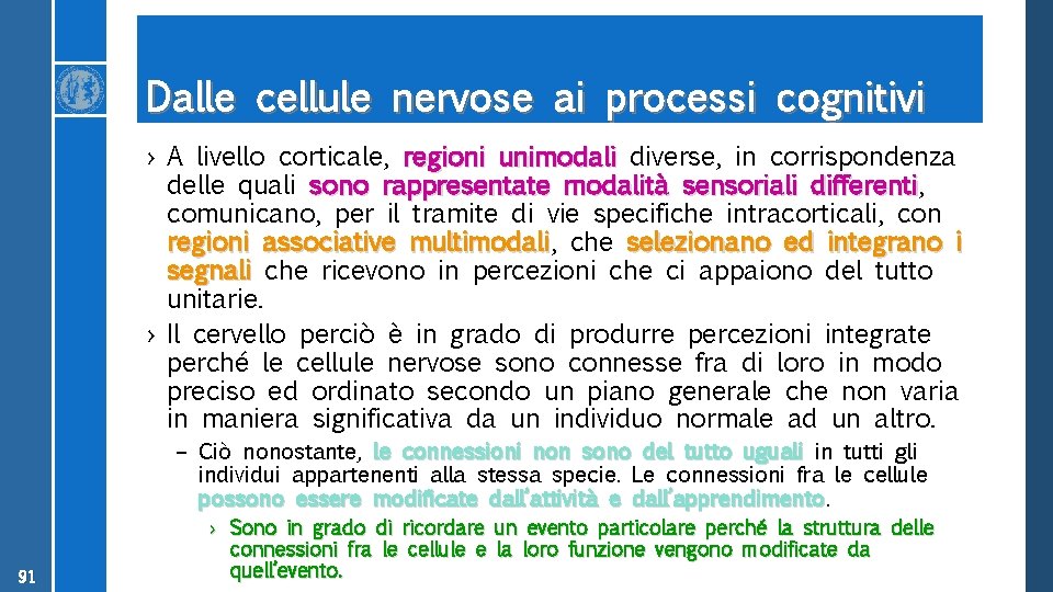 Dalle cellule nervose ai processi cognitivi › A livello corticale, regioni unimodali diverse, in