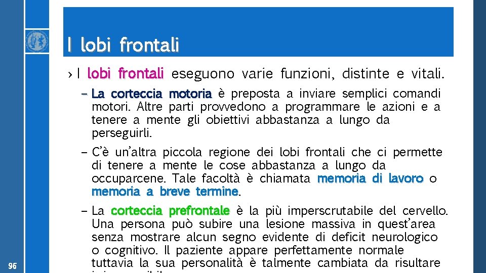 I lobi frontali › I lobi frontali eseguono varie funzioni, distinte e vitali. –