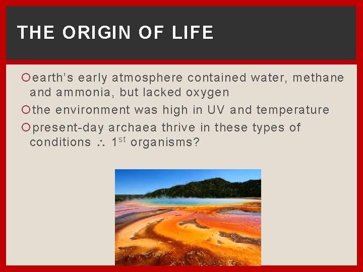 THE ORIGIN OF LIFE earth’s early atmosphere contained water, methane and ammonia, but lacked