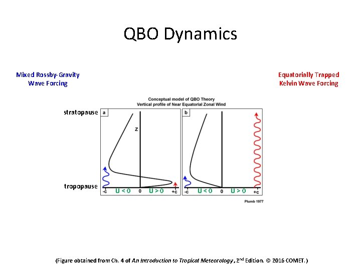 QBO Dynamics Mixed Rossby-Gravity Wave Forcing Equatorially Trapped Kelvin Wave Forcing stratopause tropopause U<0