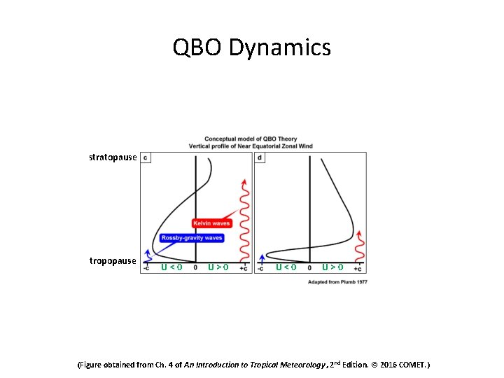 QBO Dynamics stratopause tropopause U<0 U>0 (Figure obtained from Ch. 4 of An Introduction