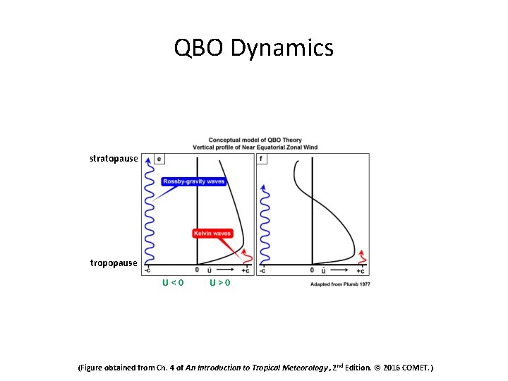 QBO Dynamics stratopause tropopause U<0 U>0 (Figure obtained from Ch. 4 of An Introduction