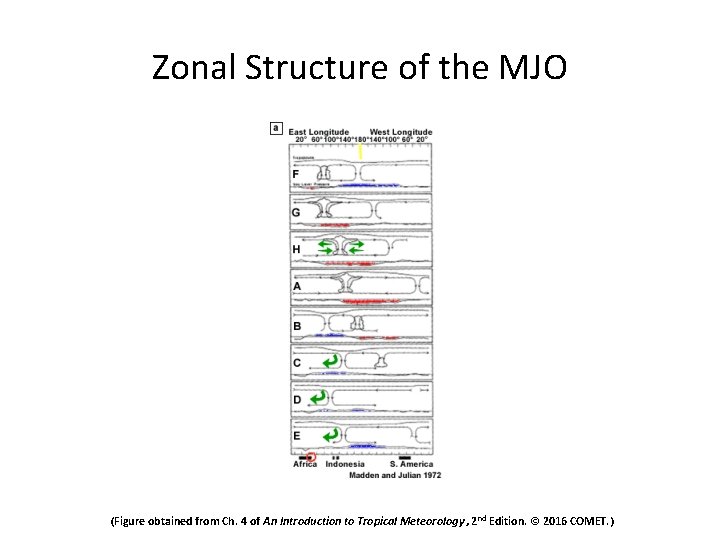 Zonal Structure of the MJO (Figure obtained from Ch. 4 of An Introduction to