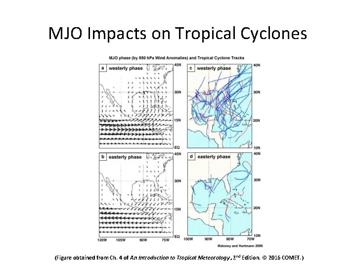 MJO Impacts on Tropical Cyclones (Figure obtained from Ch. 4 of An Introduction to
