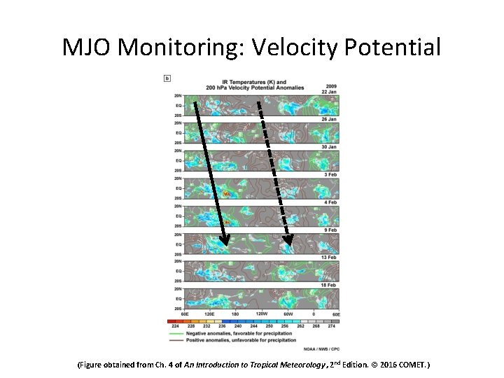 MJO Monitoring: Velocity Potential (Figure obtained from Ch. 4 of An Introduction to Tropical