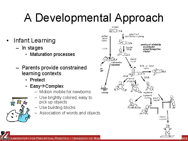 A Developmental Approach • Infant Learning – In stages • Maturation processes – Parents