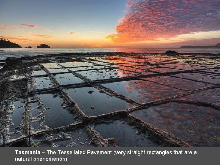 Tasmania – The Tessellated Pavement (very straight rectangles that are a natural phenomenon) 