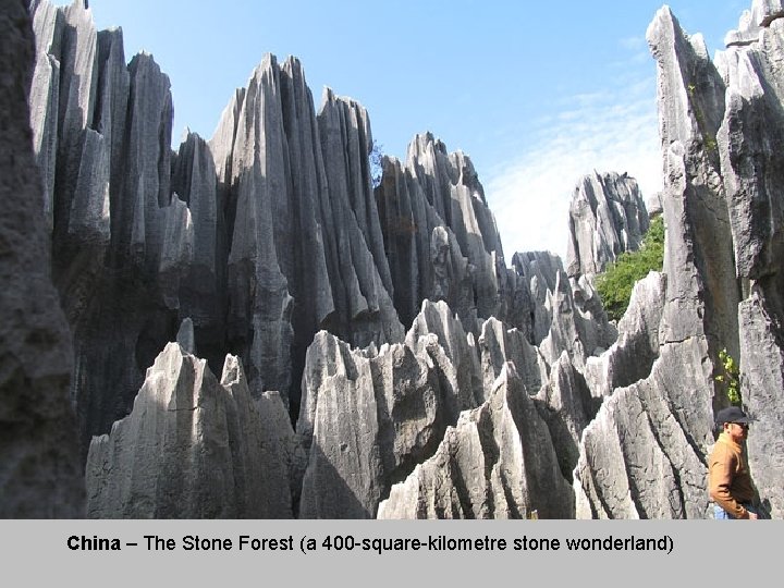 China – The Stone Forest (a 400 -square-kilometre stone wonderland) 