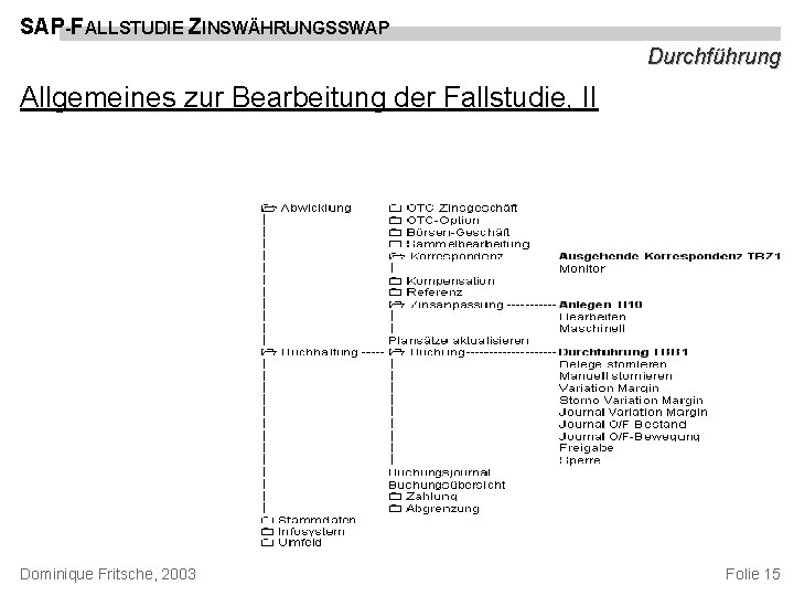 SAP-FALLSTUDIE ZINSWÄHRUNGSSWAP Durchführung Allgemeines zur Bearbeitung der Fallstudie, II Dominique Fritsche, 2003 Folie 15