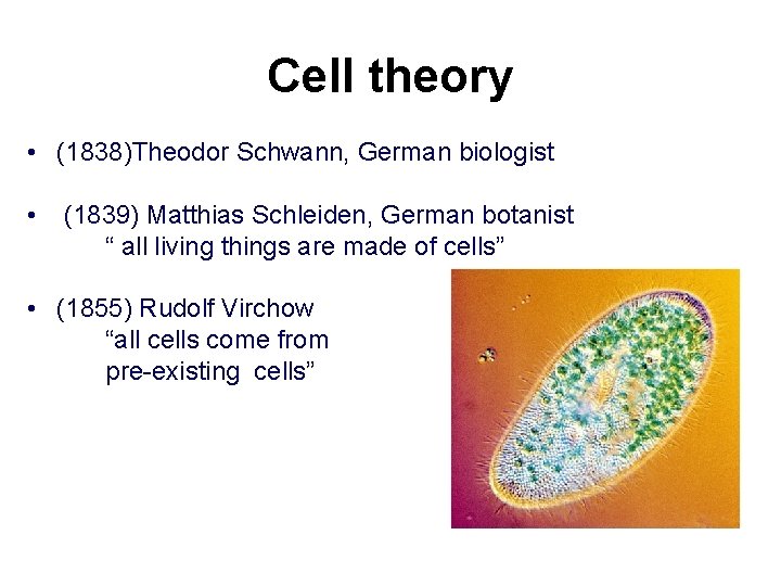 Cell theory • (1838)Theodor Schwann, German biologist • (1839) Matthias Schleiden, German botanist “