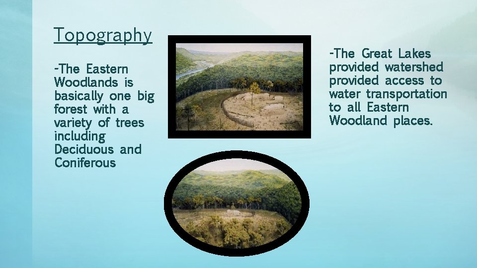 Topography -The Eastern Woodlands is basically one big forest with a variety of trees