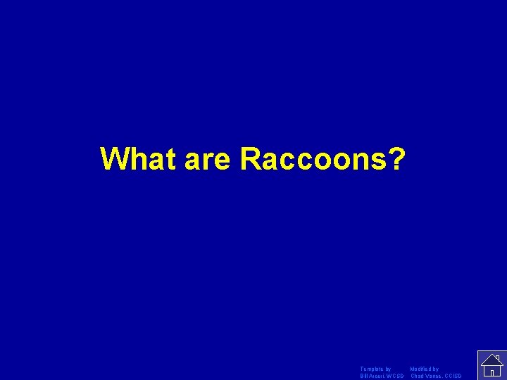 What are Raccoons? Template by Modified by Bill Arcuri, WCSD Chad Vance, CCISD 