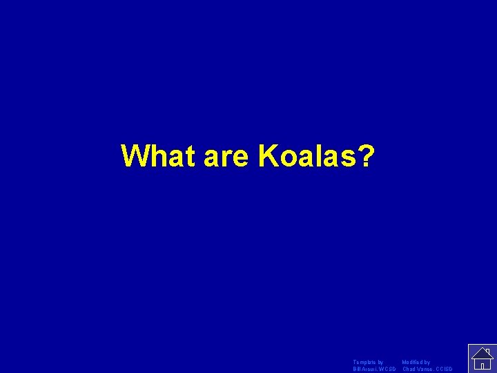 What are Koalas? Template by Modified by Bill Arcuri, WCSD Chad Vance, CCISD 