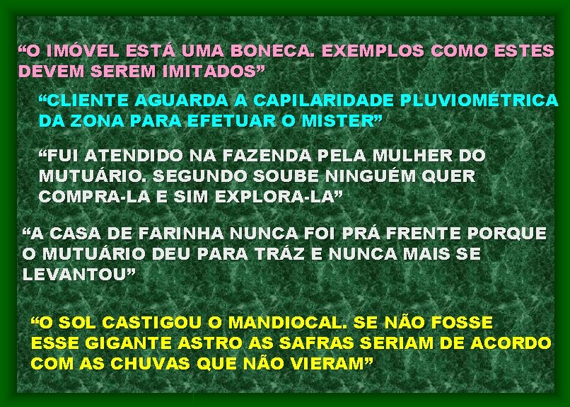 “O IMÓVEL ESTÁ UMA BONECA. EXEMPLOS COMO ESTES DEVEM SEREM IMITADOS” “CLIENTE AGUARDA A