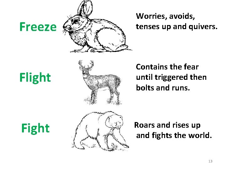Freeze Worries, avoids, tenses up and quivers. Flight Contains the fear until triggered then