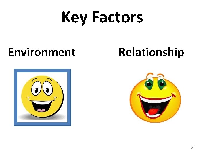Key Factors Environment Relationship 23 