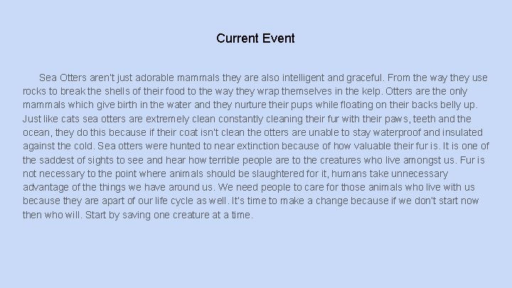 Current Event Sea Otters aren’t just adorable mammals they are also intelligent and graceful.