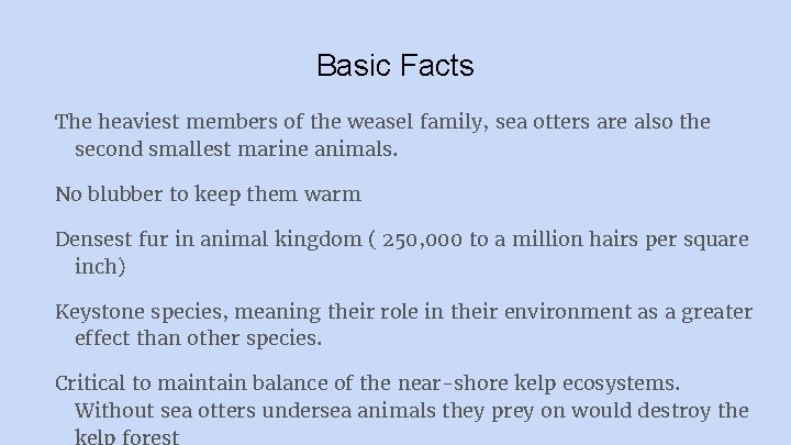 Basic Facts The heaviest members of the weasel family, sea otters are also the