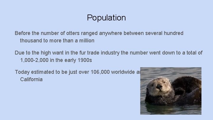Population Before the number of otters ranged anywhere between several hundred thousand to more