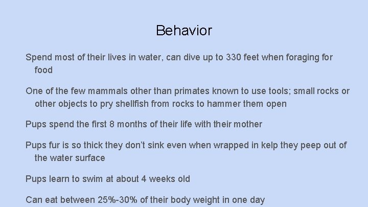 Behavior Spend most of their lives in water, can dive up to 330 feet
