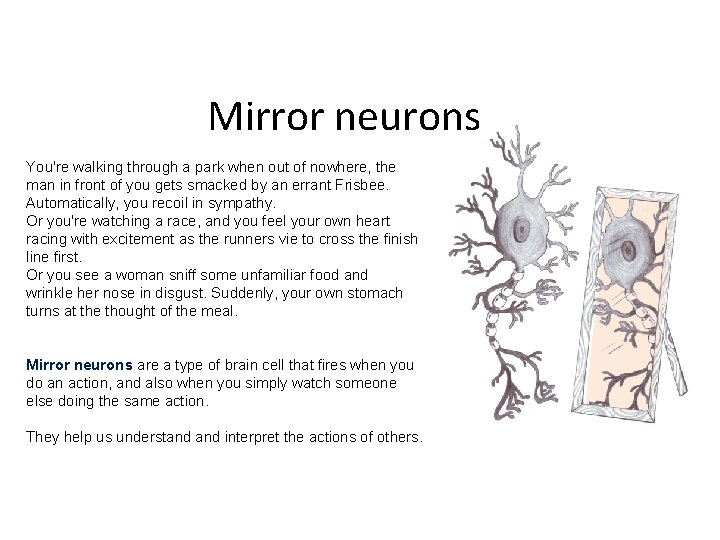 Mirror neurons You're walking through a park when out of nowhere, the man in