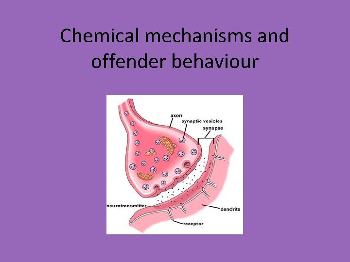 Chemical mechanisms and offender behaviour 