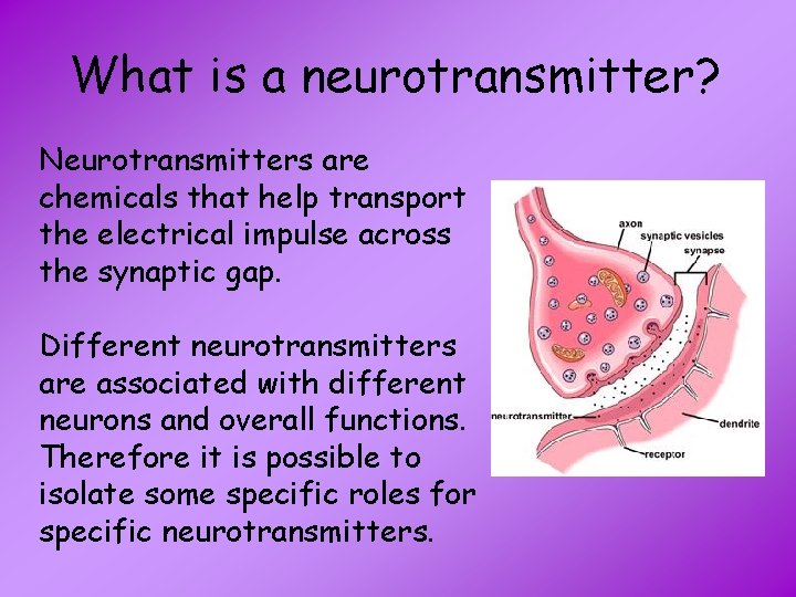 What is a neurotransmitter? Neurotransmitters are chemicals that help transport the electrical impulse across