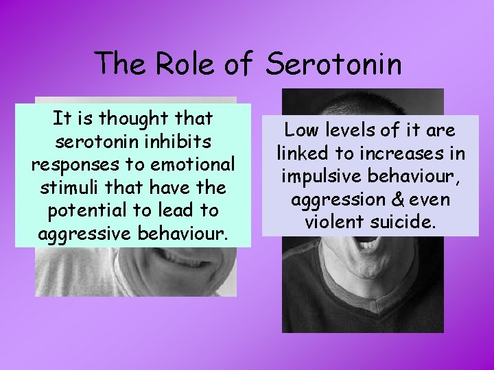 The Role of Serotonin It is thought that serotonin inhibits responses to emotional stimuli