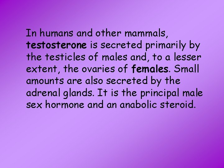 In humans and other mammals, testosterone is secreted primarily by the testicles of males