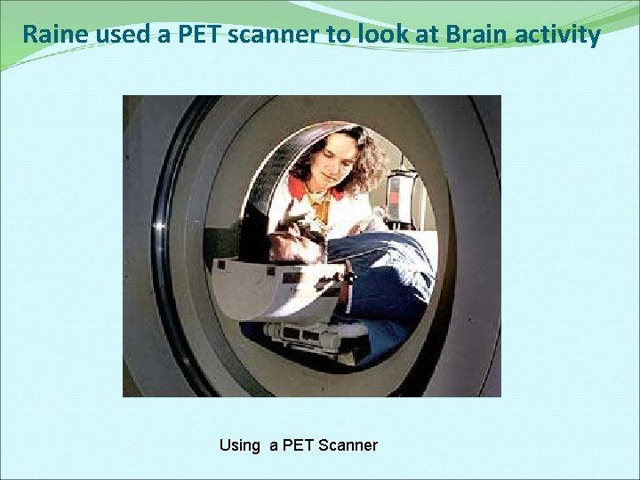 Raine used a PET scanner to look at Brain activity Using a PET Scanner