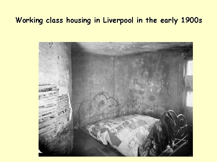 Working class housing in Liverpool in the early 1900 s 