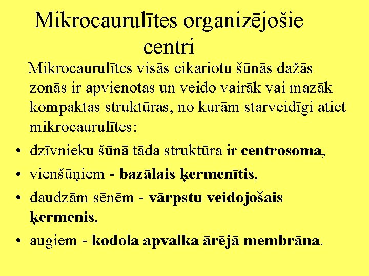 Mikrocaurulītes organizējošie centri • • Mikrocaurulītes visās eikariotu šūnās dažās zonās ir apvienotas un