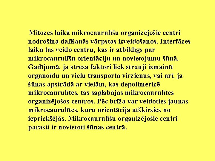 Mitozes laikā mikrocaurulīšu organizējošie centri nodrošina dalīšanās vārpstas izveidošanos. Interfāzes laikā tās veido centru,