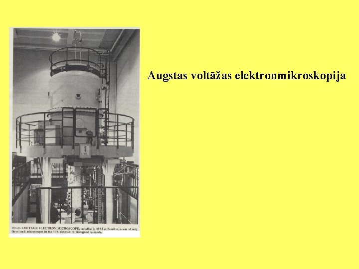 Augstas voltāžas elektronmikroskopija 