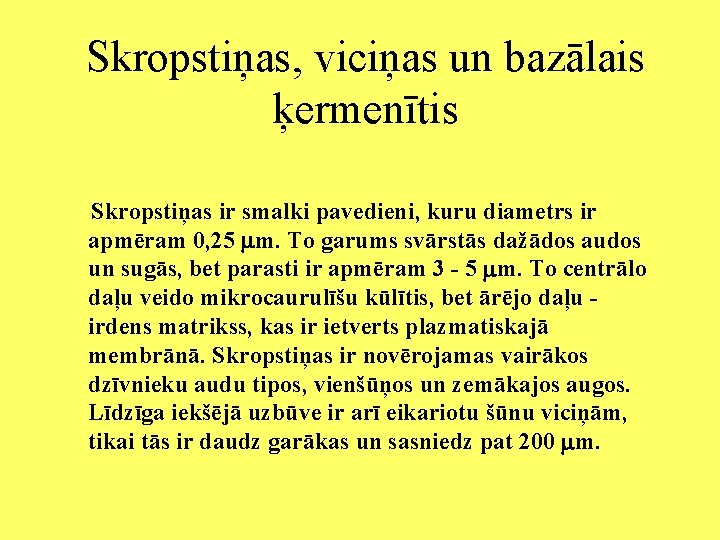 Skropstiņas, viciņas un bazālais ķermenītis Skropstiņas ir smalki pavedieni, kuru diametrs ir apmēram 0,