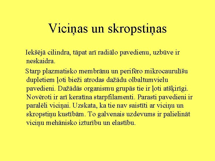 Viciņas un skropstiņas Iekšējā cilindra, tāpat arī radiālo pavedienu, uzbūve ir neskaidra. Starp plazmatisko