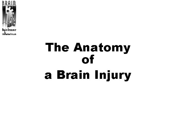 The Anatomy of a Brain Injury 