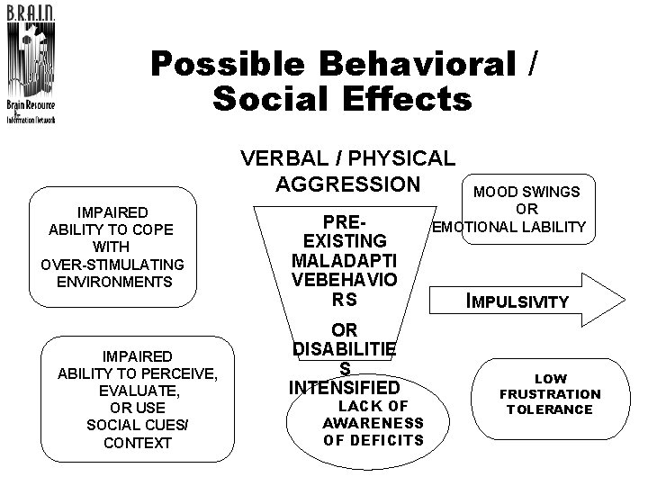 Possible Behavioral / Social Effects VERBAL / PHYSICAL AGGRESSION IMPAIRED ABILITY TO COPE WITH