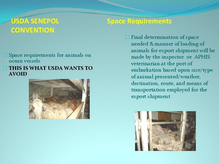 USDA SENEPOL CONVENTION � Space requirements for animals on ocean vessels � THIS IS