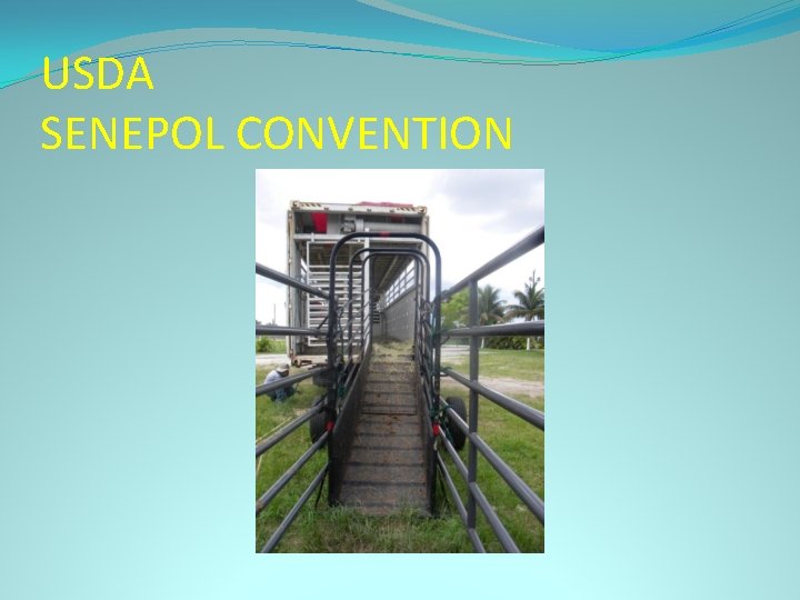 USDA SENEPOL CONVENTION 