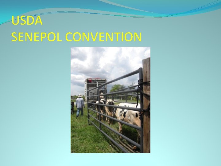 USDA SENEPOL CONVENTION 