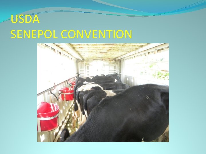 USDA SENEPOL CONVENTION 